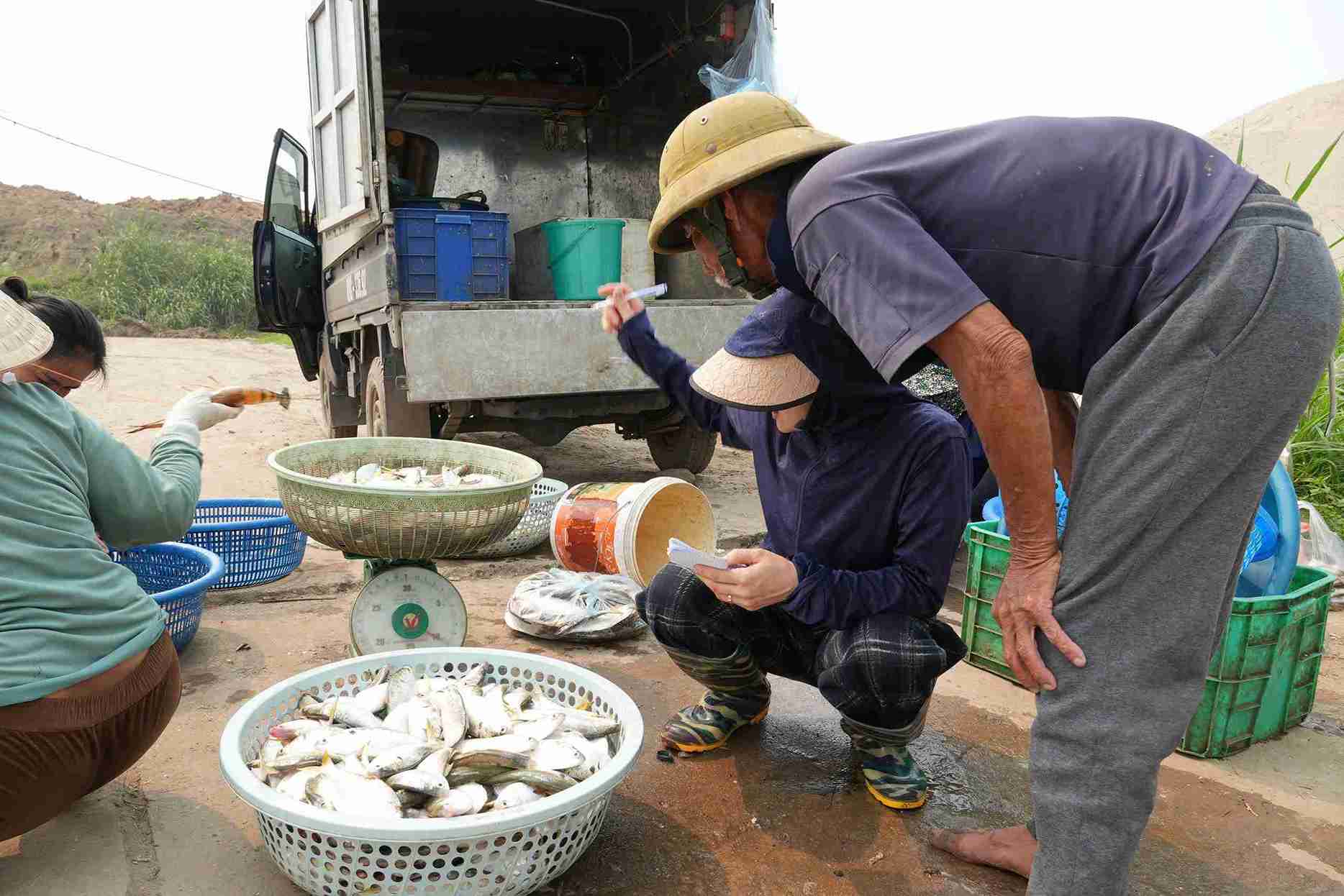Bustling sand crab trading atmosphere at Pho Hien river wharf. Photo: Khanh Minh