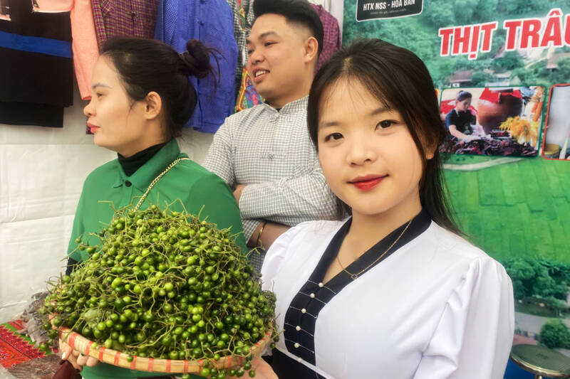 Unique cuisine from mắc nhung (bitter fruit) in the highland villages of Phu Yen area, Son La province. Photo: Truong Son