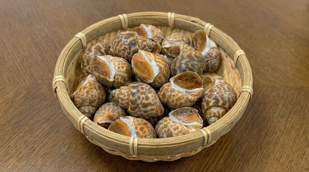 Los errores al elegir caracoles shiitake que no son frescos y preprocesarlos incorrectamente pueden afectar fácilmente la salud. Foto: Tuan Dat