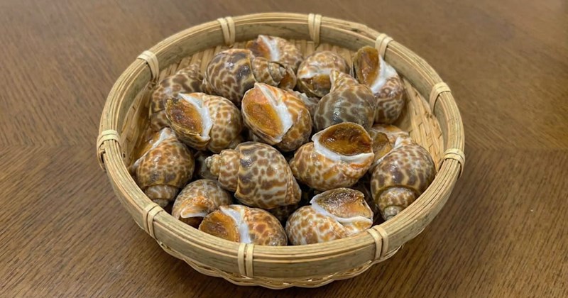 4 sai lầm thường gặp khi chế biến và thưởng thức ốc hương