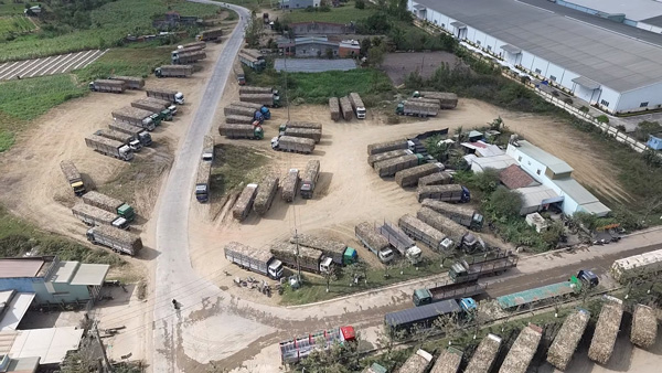 Các nhà xe vận chuyển mía ở vùng nguyên liệu tăng cường để đưa tới nhà máy. Ảnh: Thanh Tuấn 