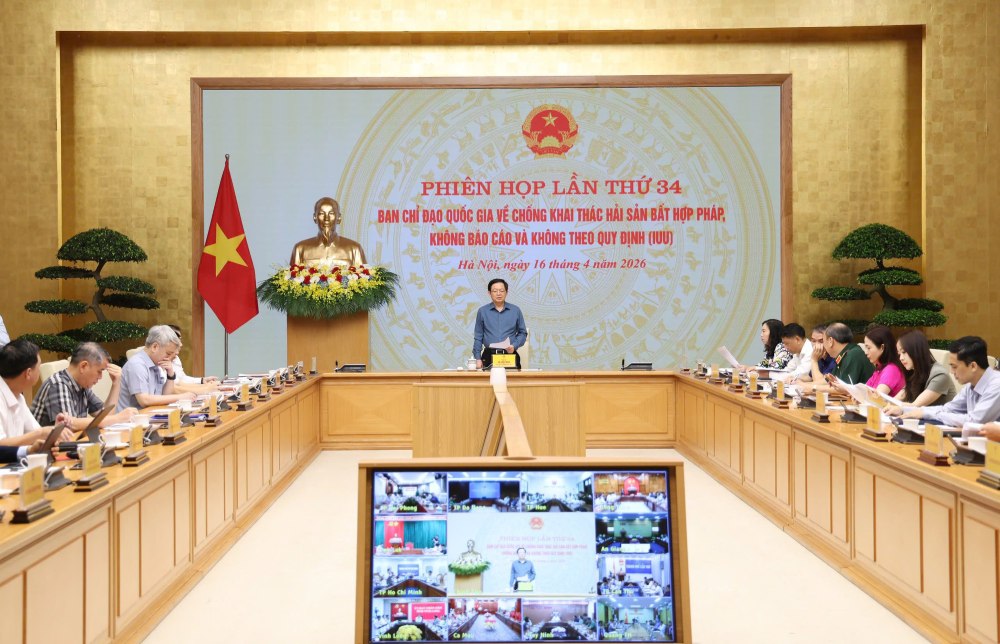 Phiên họp lần thứ 34 của Ban Chỉ đạo Quốc gia về chống khai thác IUU. Ảnh: VGP