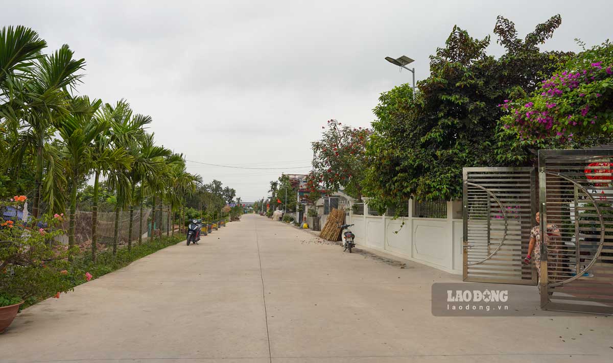 Les routes de village de la commune de Quỳnh Phụ, province de Hưng Yên, sont larges et spacieuses grâce au mouvement de don de terres pour construire des routes. Photo: Lương Hà