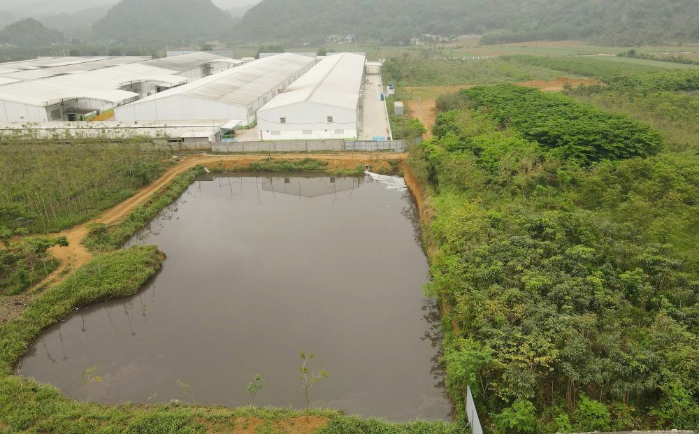 Lực lượng chức năng nhận định, nguyên nhân bước đầu khiến nguồn nước bị đổi màu có thể là do sự cố xả thải của doanh nghiệp giặt là đóng trên địa bàn. Ảnh: Quách Du