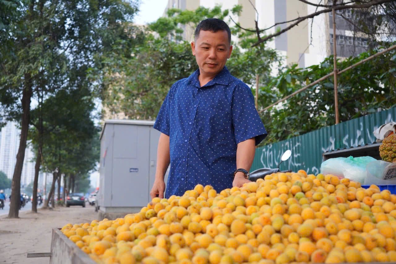 The apricot season starts in Hanoi in just a few weeks but creates a bustling atmosphere, especially for housewives who love to soak apricots every summer. Photo: Le Trang
