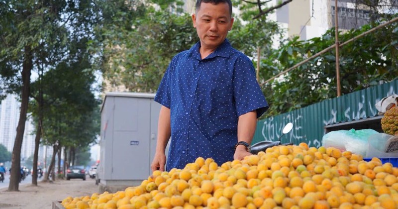 Trái cây ngâm, ướp lạnh "gây sốt" mùa hè