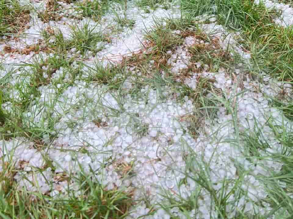 Held rain affects the production life of mountainous people. Photo: Thanh Tuan