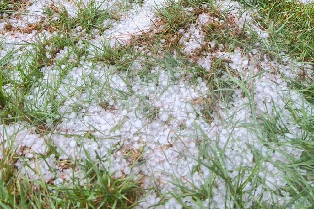 Mưa đá với hạt lớn bằng ngón tay rơi dày, phủ trắng mặt đất. Ảnh: UBND xã Tu Mơ Rông