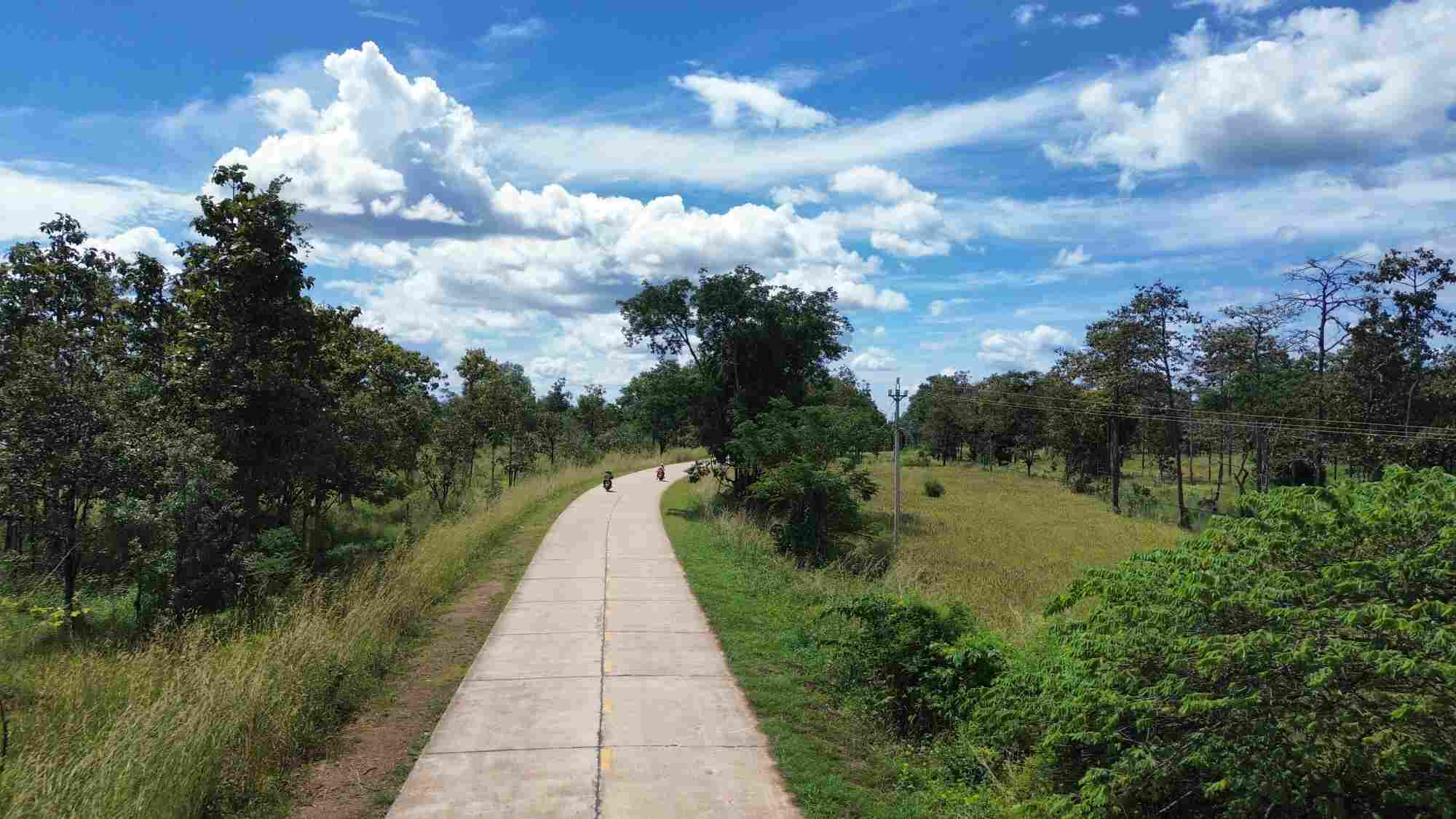Many locations that are protection forest land are also often rumored and falsely advertised by land brokers, posing a risk of affecting people's rights. Photo: THANH TUAN