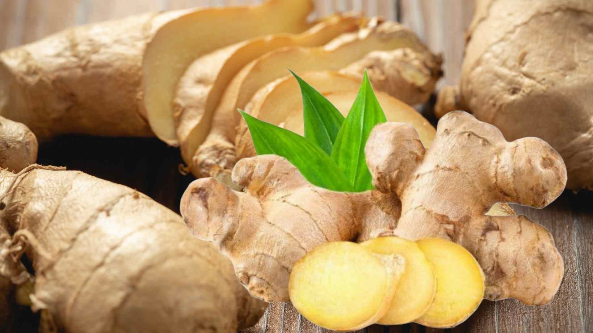 Ginger is a familiar spice highly appreciated by many nutrition experts for helping to warm the body and support liver function. Graphic photo: Huong Son