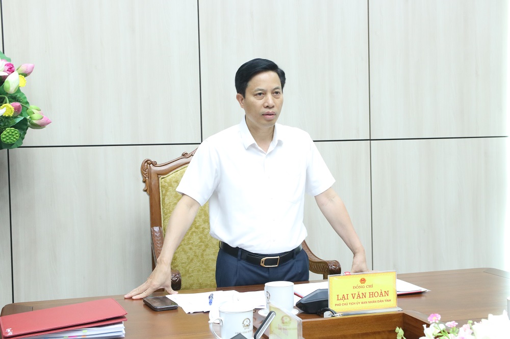 Phó Chủ tịch UBND tỉnh Lại Văn Hoàn phát biểu chỉ đạo tại cuộc họp. Ảnh: Tất Đạt