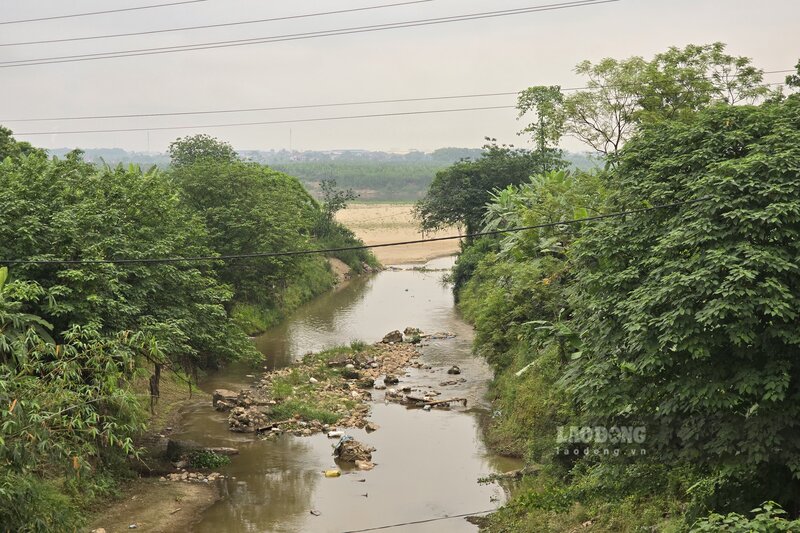 Ngòi Me - phụ lưu của sông Hồng cũng cạn kiệt nước. Ảnh: Tô Công
