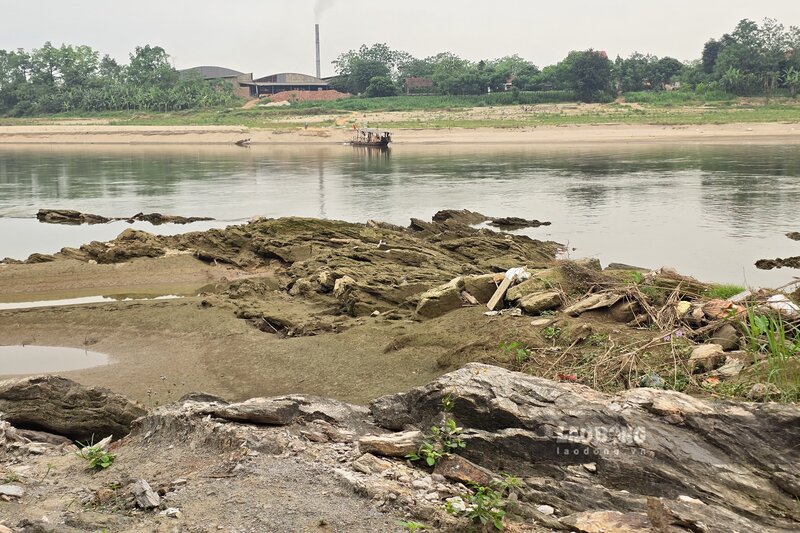 The water level of the Thao River (the main stream of the Red River) is depleted, the flow is narrow. Photo: To Cong