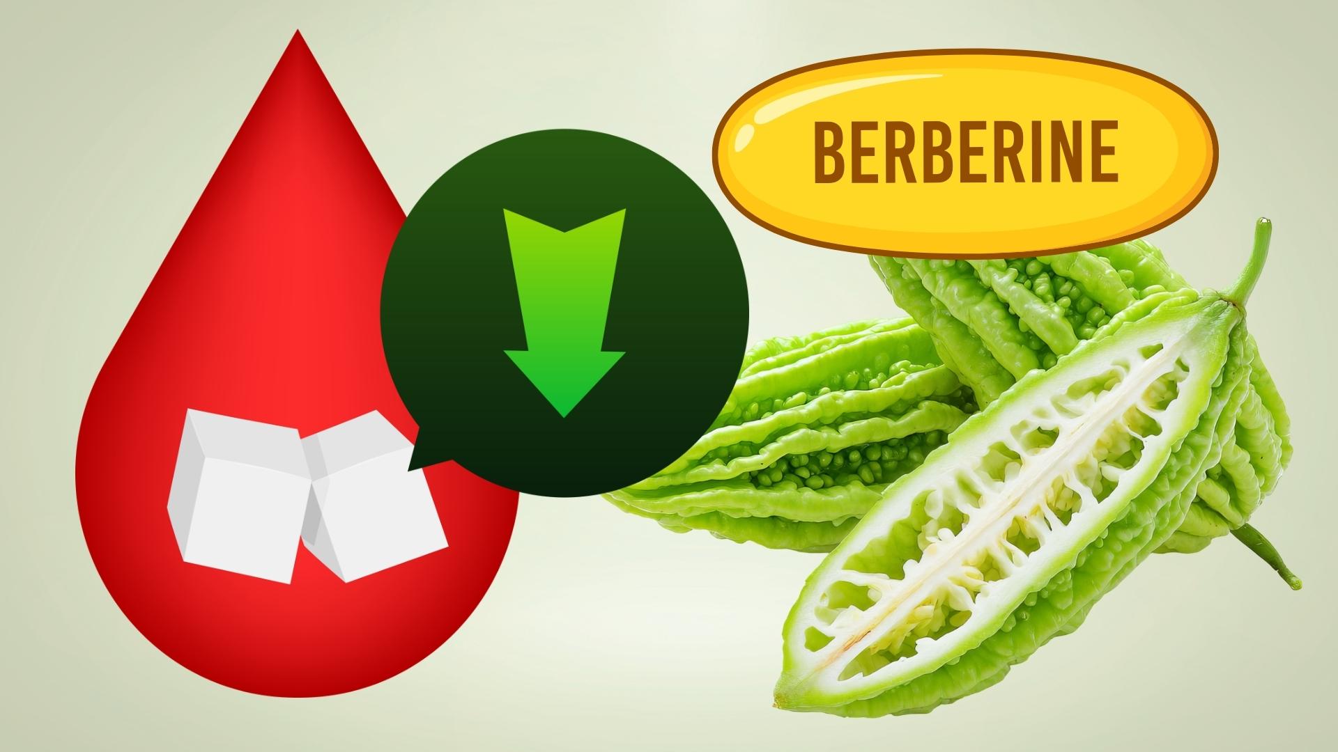 Berberine or bitter melon, which is a better option to lower blood sugar