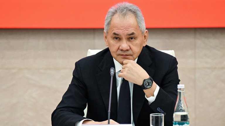 Secretary of the Russian Security Council Sergey Shoigu. Photo: Ria Novosti