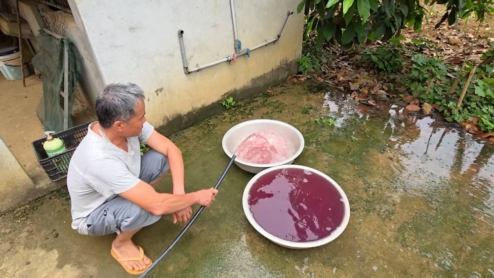 탄호아 주민들은 지하수가 오염되고 변색되어 분개하고 있습니다. 사진: 주