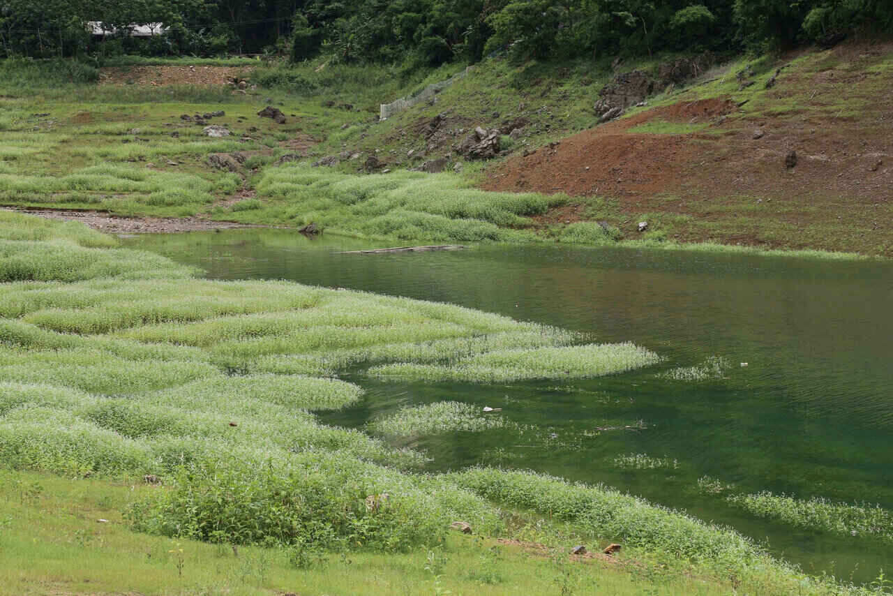Cảnh sắc thiên nhiên của hồ Hòa Bình khi nước dâng. Ảnh: Bình Khang