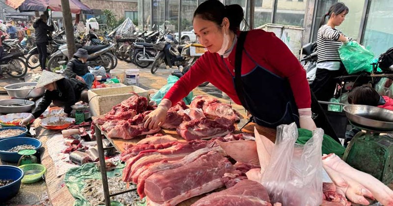Giá heo hơi hôm nay 24/4: Tăng nhẹ ở 2 địa phương, cao nhất 69.000 đồng/kg