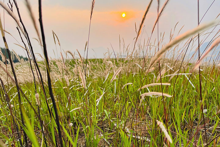 Ảnh: Lường Thoa