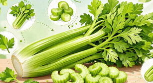 Vegetable that helps reduce uric acid. Graphics: Huong Giang
