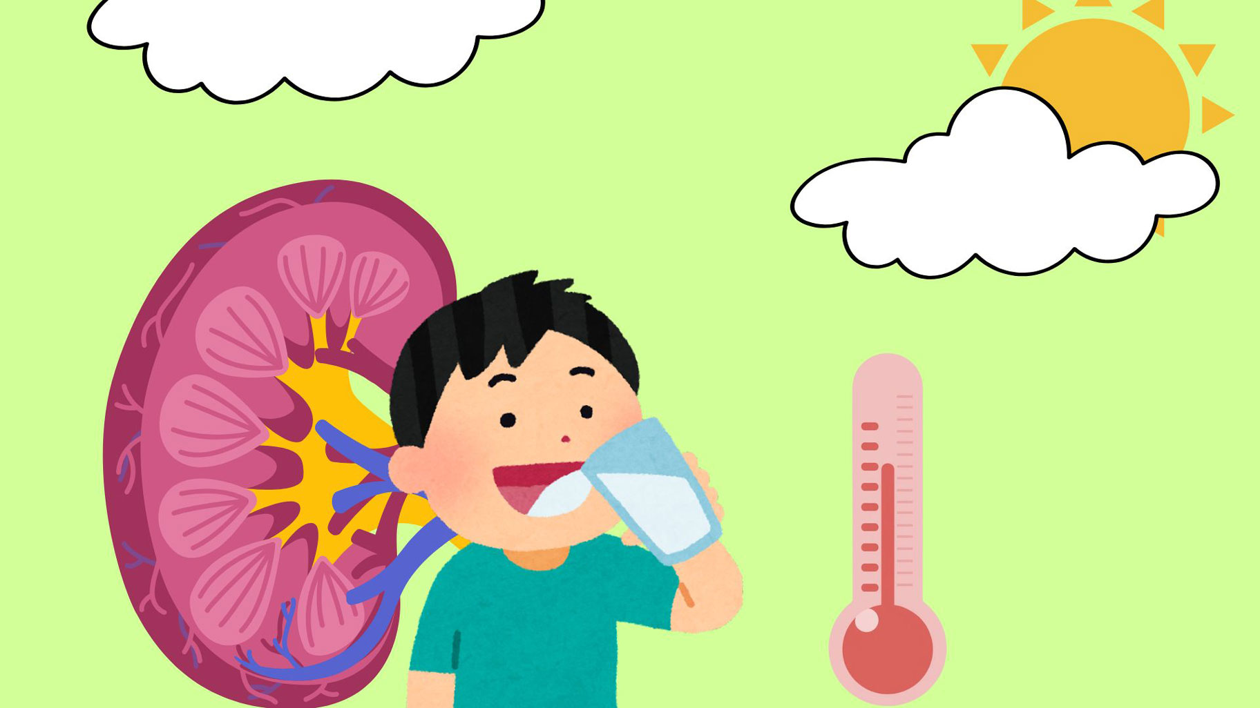 Hot weather causes the body to lose water and creates ideal conditions for minerals to crystallize into kidney stones. Graphic photo: Han Nghien