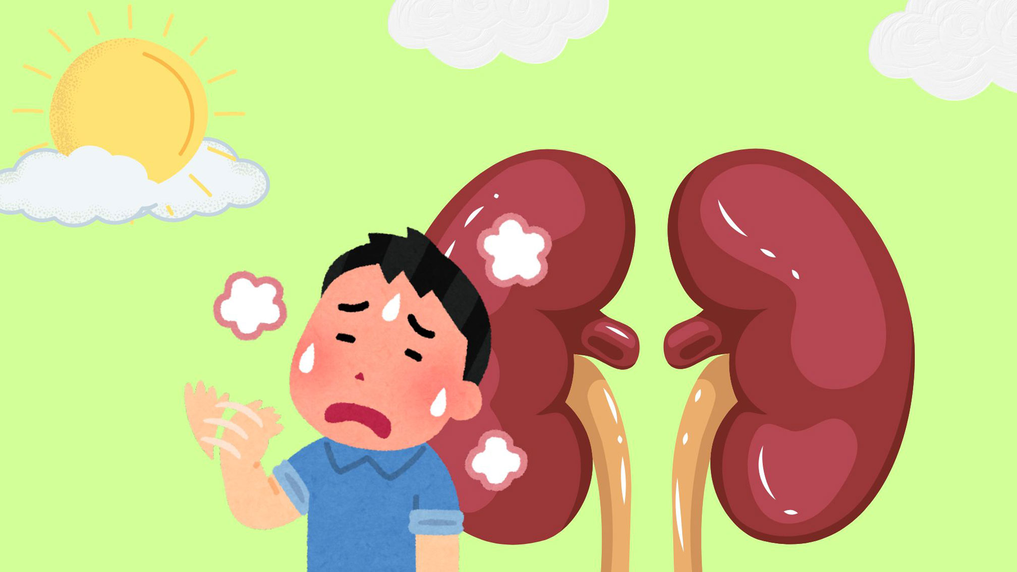 Wasting enough water is one of the ways to prevent kidney stones from forming in the summer days.