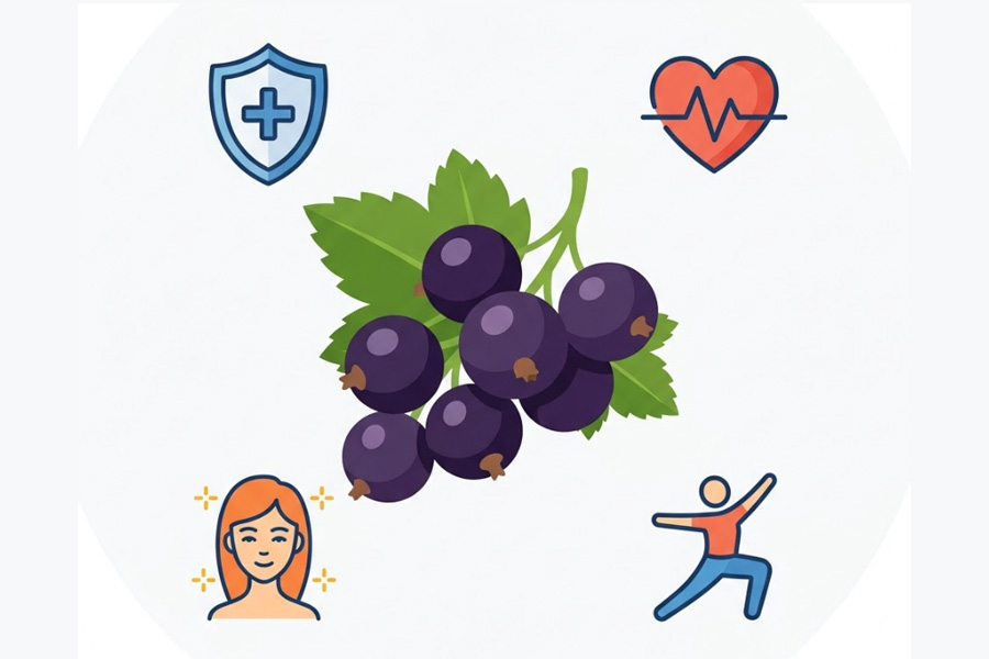 Immunity and overall health improve when supplemented with black buckwheat. Graphics: Thien Nhan