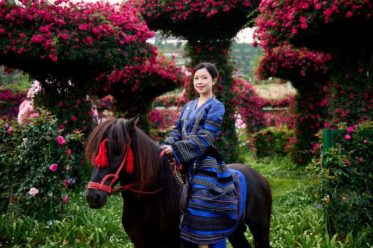 Hàng triệu bông hồng nở rộ trở thành điểm check-in không thể bỏ lỡ tại Sun World Fansipan Legend. Ảnh: Thanh Sơn