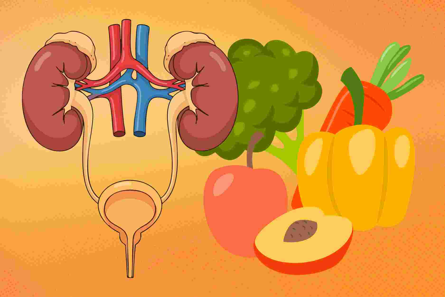 Kidney-boosting foods to have in daily meals