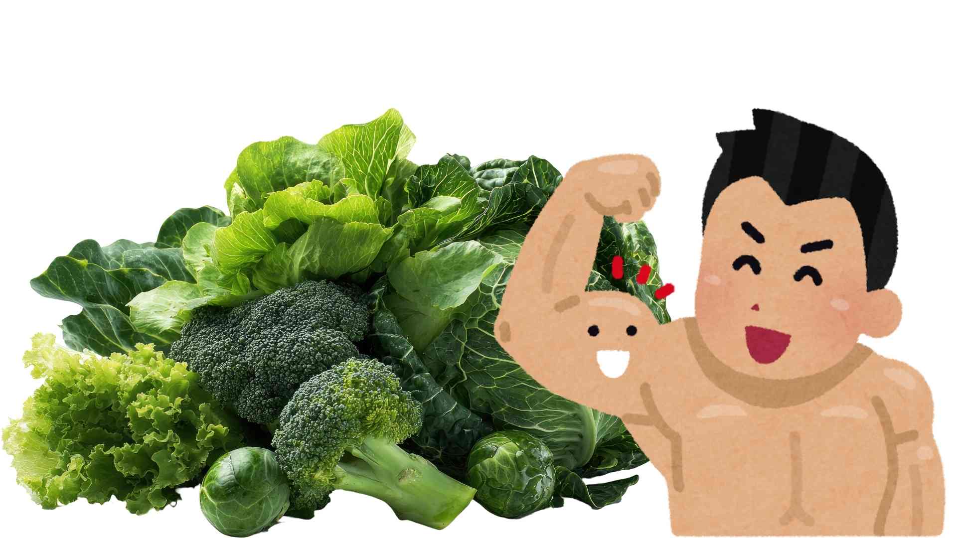 One cup of green vegetables every day, muscles are noticeably healthier. Graphics: Ha May
