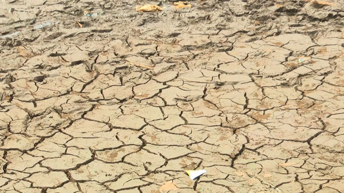 Đất đai nứt nẻ, khô cằn vì thiếu nước, khô hạn. Ảnh: Thanh Tuấn 