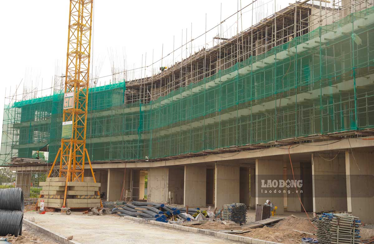 Toàn cảnh Dự án nhà ở xã hội Bãi Viên tọa lạc tại phường Thành Nam, tỉnh Ninh Bình. Ảnh: Lương Hà