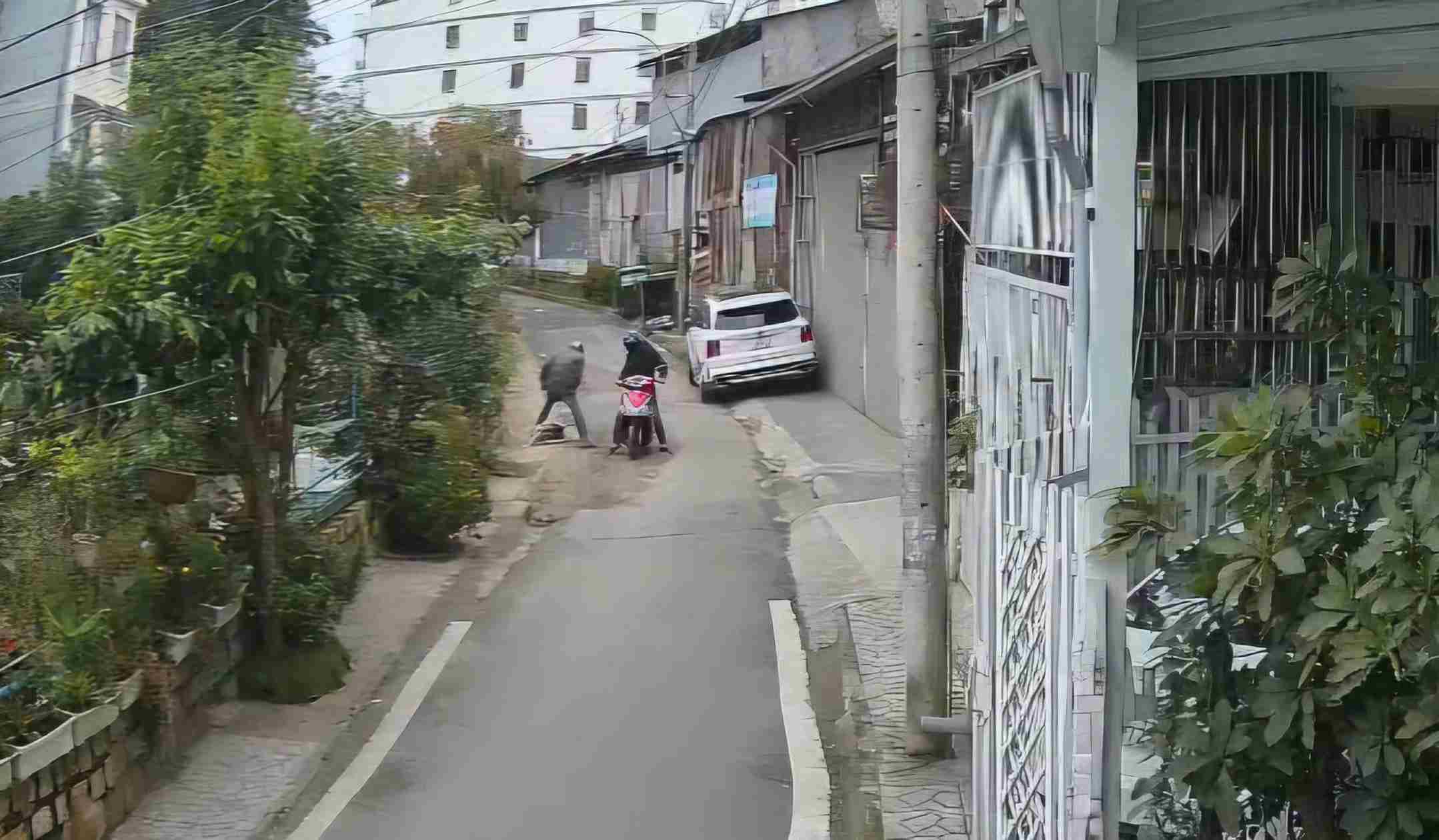 Cẩu tặc ngang nhiên bắt trộm chó tại Đà Lạt. Ảnh: Người dân cung cấp 