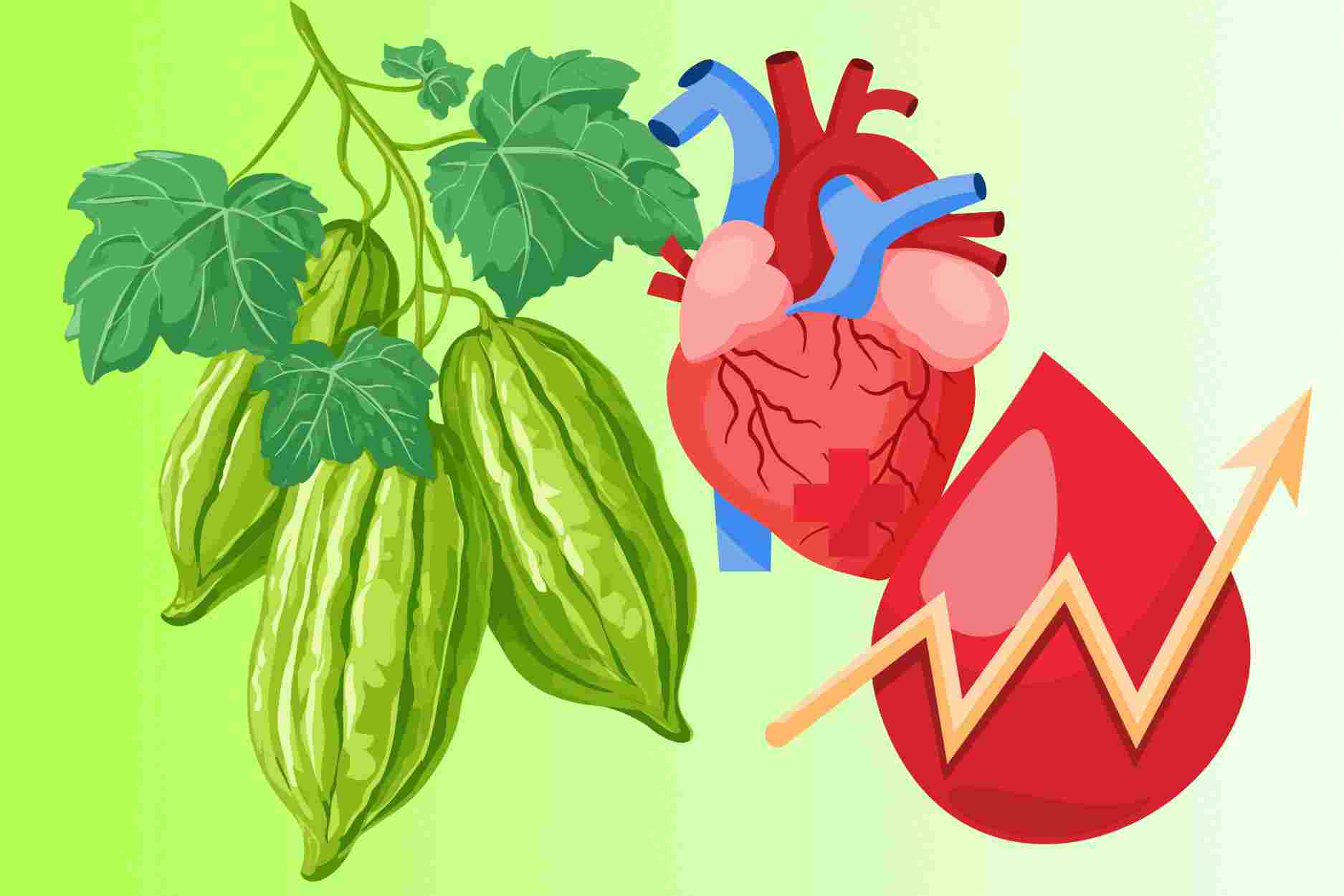 6 unexpected benefits of bitter melon for the heart and blood sugar