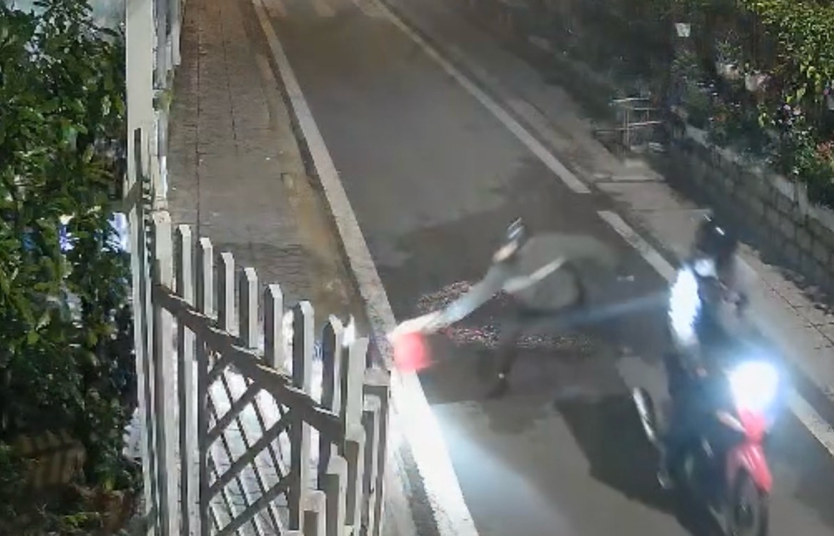 Painful dog theft rampant in the center of Da Lat