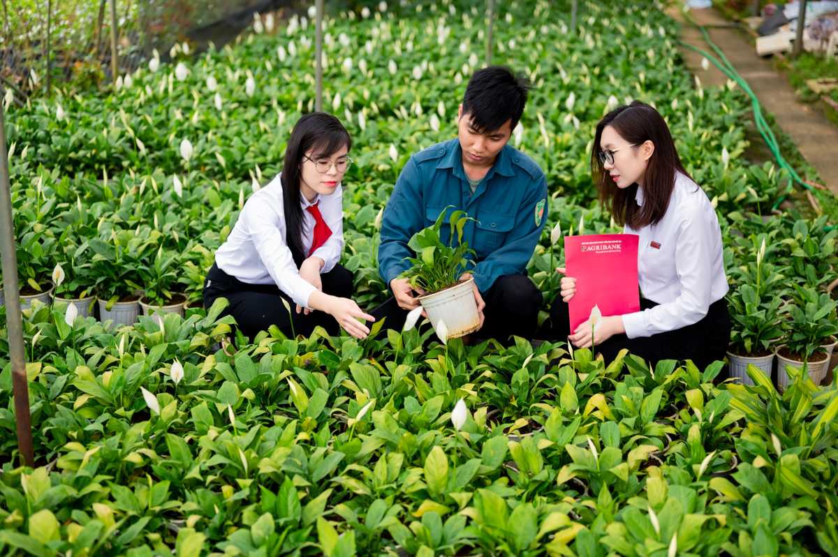 Agribank hướng dòng vốn vào lĩnh vực nông nghiệp xanh. Ảnh: Agribank