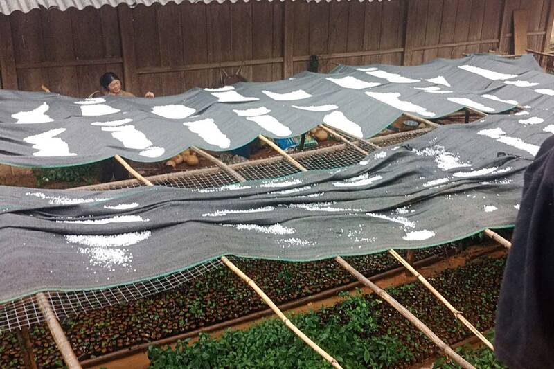 Rock falls cause damage to crops in Co Hinh village, Phieng Cam commune, Son La province. Photo: NDCC