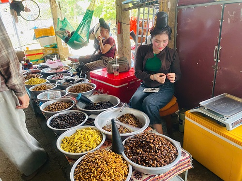 Unique" insect market in Son La. Photo: Truong Son
