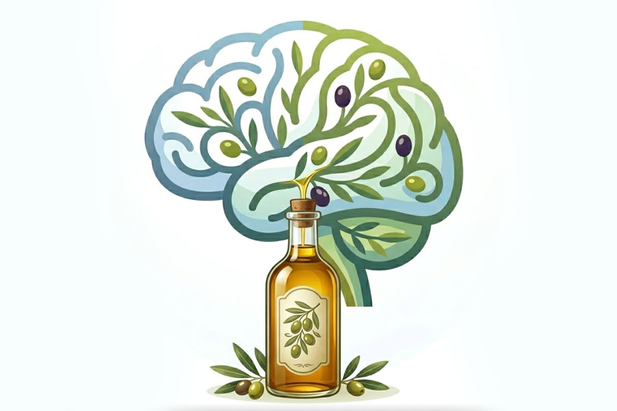 Pure or refined olive oil: Which choice is better for the brain. Graphics: Thien Nhan