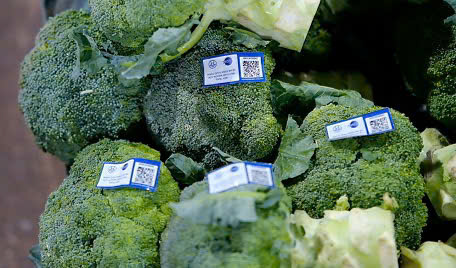 Transparency of food origins in people's markets using digital technology