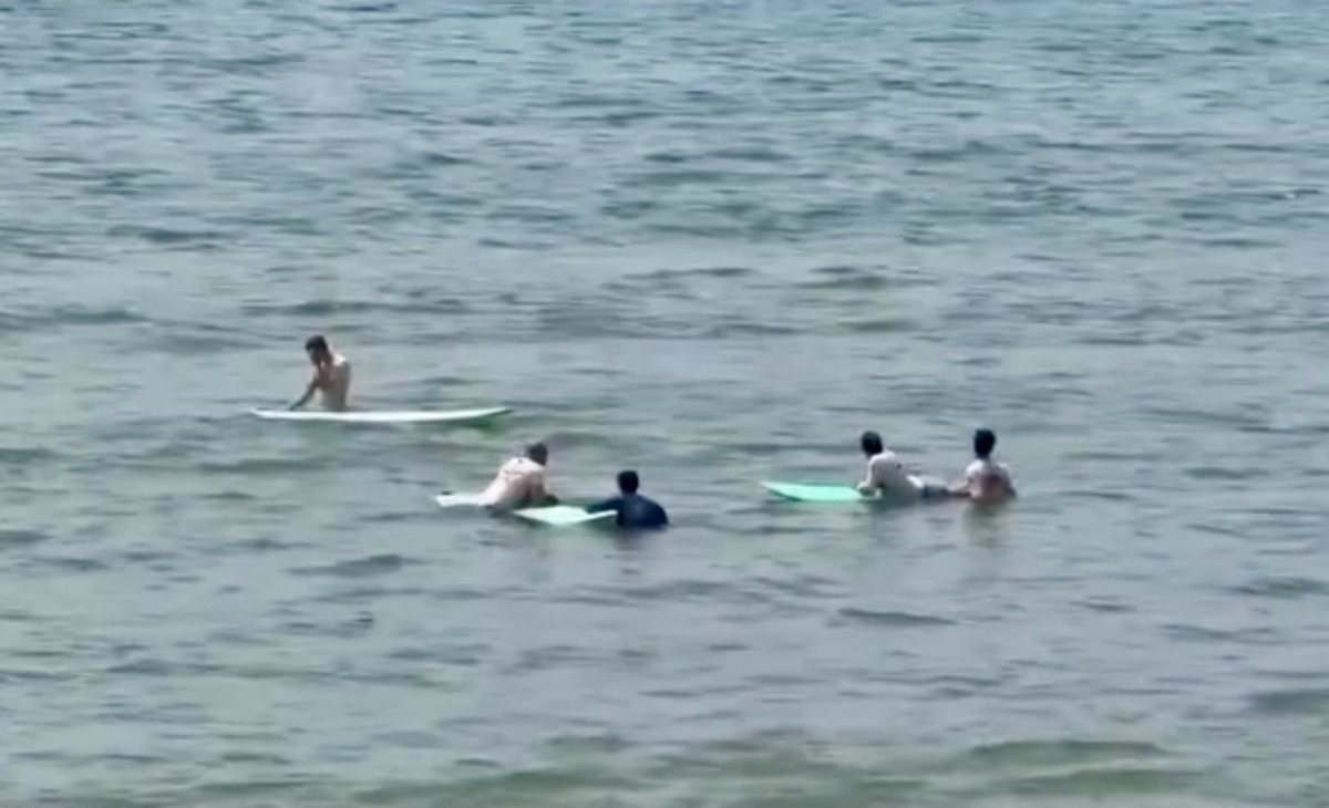 Những người chơi lướt sóng phát hiện cá voi. Ảnh: Xuân Tường