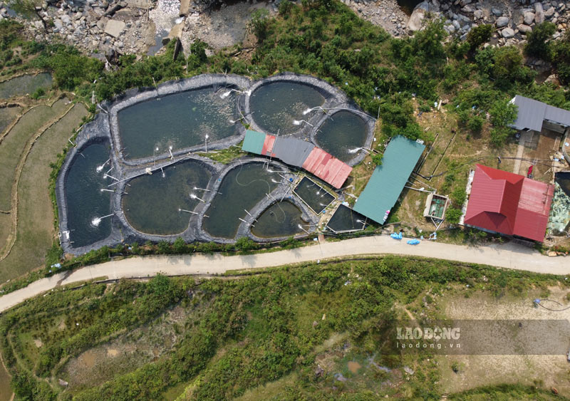 Xã Hạnh Phúc sẽ xử lý dứt điểm những sai phạm tại trại cá hồi, cá tầm không phép. Ảnh: Tân Văn