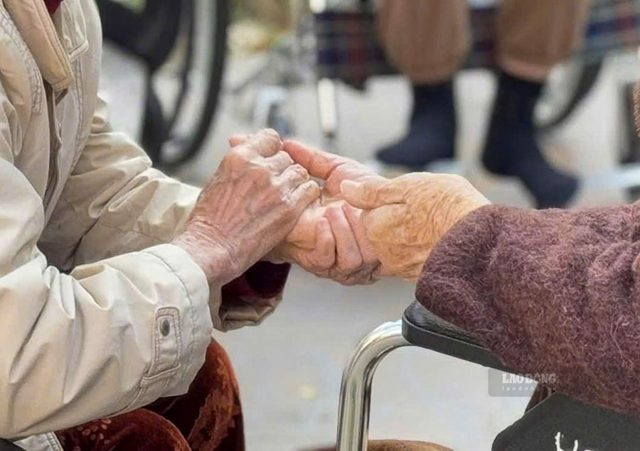 Quy định về mức xử phạt vi phạm quy định về quyền và nghĩa vụ đối với người cao tuổi. Ảnh: Hằng Nguyễn