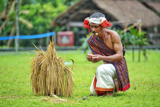 Già làng thực hiện nghi thức bên bó lúa chín, tái hiện nét văn hóa mừng mùa bội thu tại Làng Văn hóa - Du lịch các dân tộc Việt Nam. Ảnh: Tuấn 