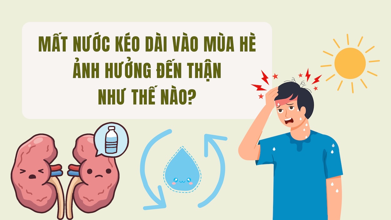 How prolonged dehydration in the summer affects the kidneys