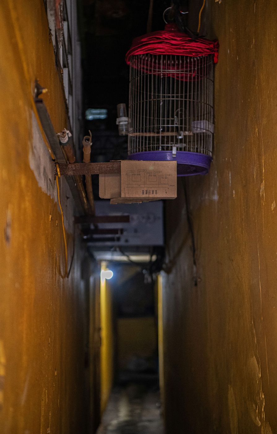 Một hình ảnh rất Hà Nội. Dù không gian hẹp và tường cũ, người dân vẫn giữ thú vui tao nhã là nuôi chim cảnh, thể hiện đời sống tinh thần phong phú bất chấp không gian chật hẹp. Ảnh: Việt Văn