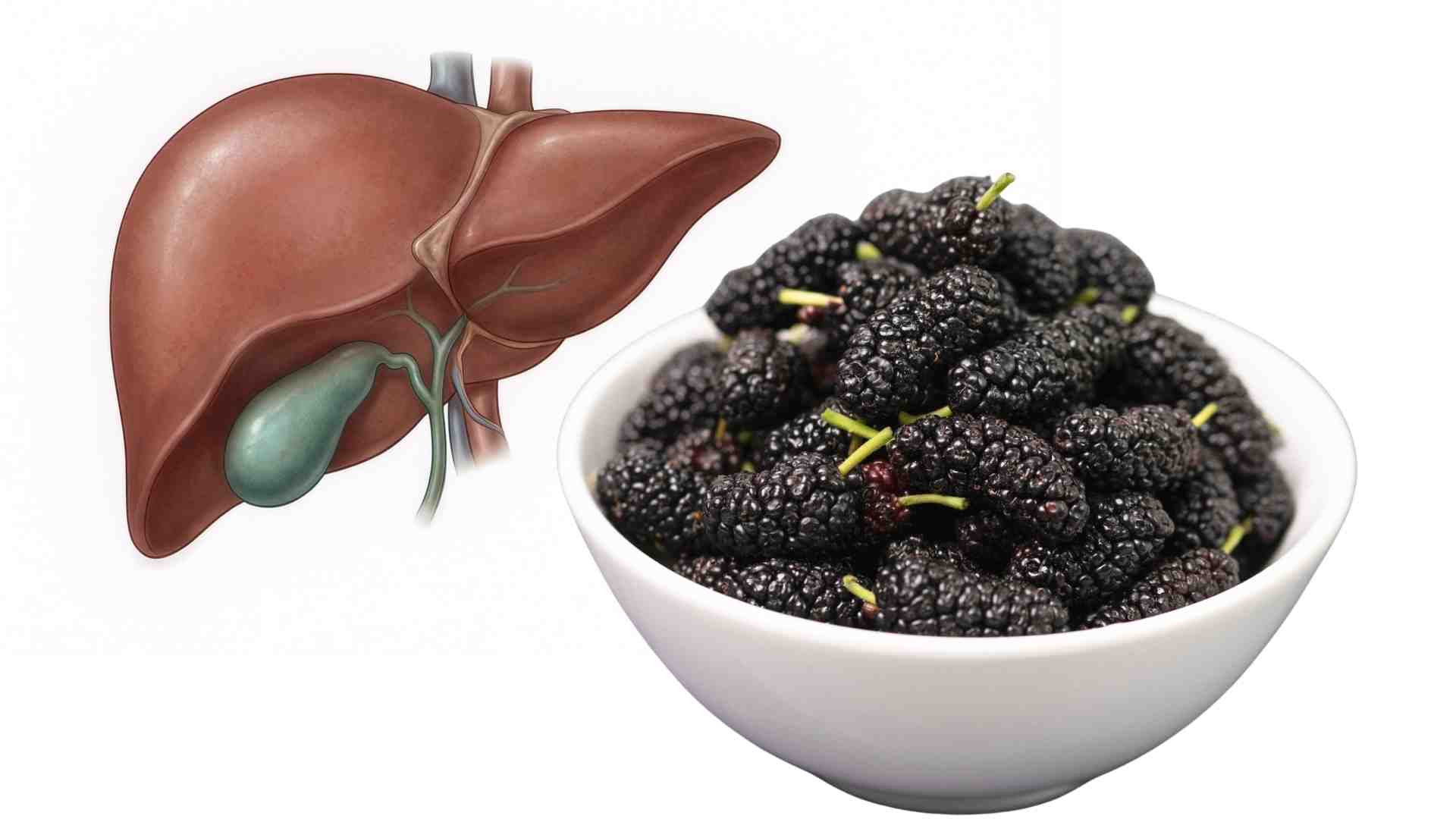 Mulberry is both delicious and good for the liver, and rich in selenium. Graphics: Ha May