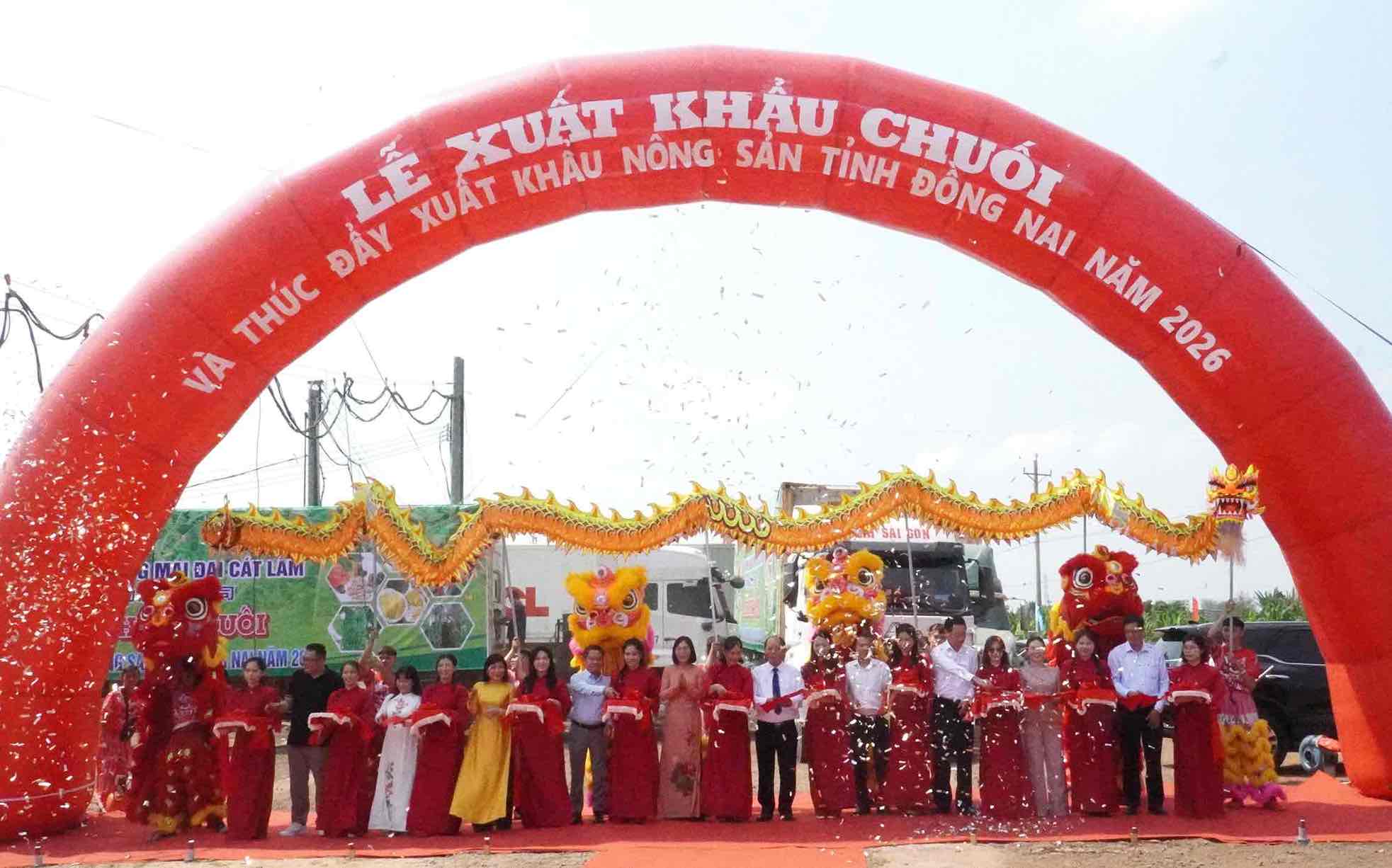 Dong Nai organizes banana export ceremony and promotes agricultural exports in 2026. Photo: HAC