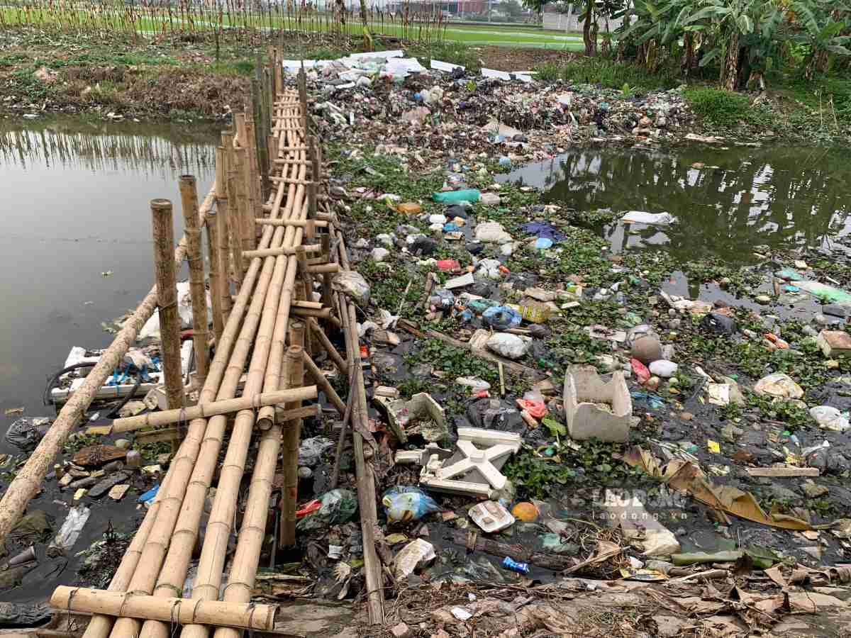 Rác thải ở sông Thái Sư, xã Long Hưng, tỉnh Hưng Yên PV Báo Lao Động ghi nhận trước đó. Ảnh: Hà Vi