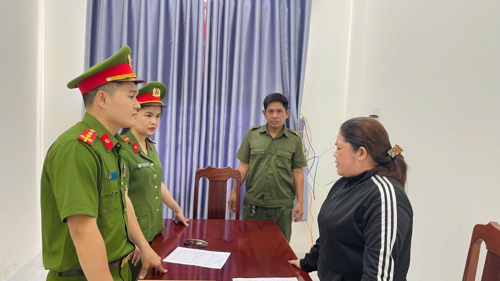 Trần Thị Tuyết Anh bị khởi tố, bắt tạm giam về hành vi trốn thuế. Ảnh: Công an Hà Tĩnh